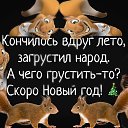 ���� ����, ���, 46 ��� - ��������� 22 ������� 2024 � ������ �� ������ �� ����Ȼ