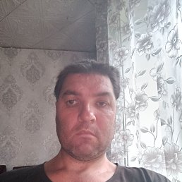 , 37, 