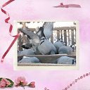 ���� ������, ����-��� - ��������� 9 ���� 2025 � ������ ���� �� ���� � ������� ������� � �������. ����� 4�
