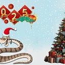 ���� ������, ����� - ��������� 26 ������� 2024 � ������ ������ ��������
