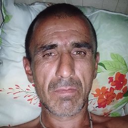 ���������, ������-��-����, 40 ���