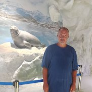 ������� ����������, 43 ����, ����