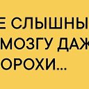 ���� ��������, ����������, 71 ��� - ��������� 26 ������� 2026 � ������ ������ ��������