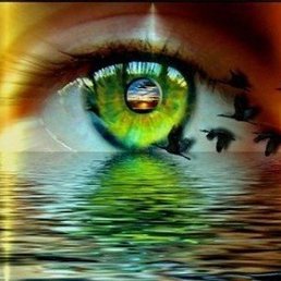 Lunapet, ������