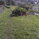 ���� ���������, �������� - ��������� 22 ������� 2025 � ������ �����