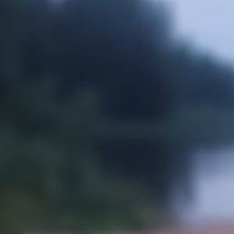 ������, ��������, 48 ���