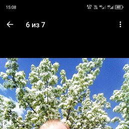 , 31, 