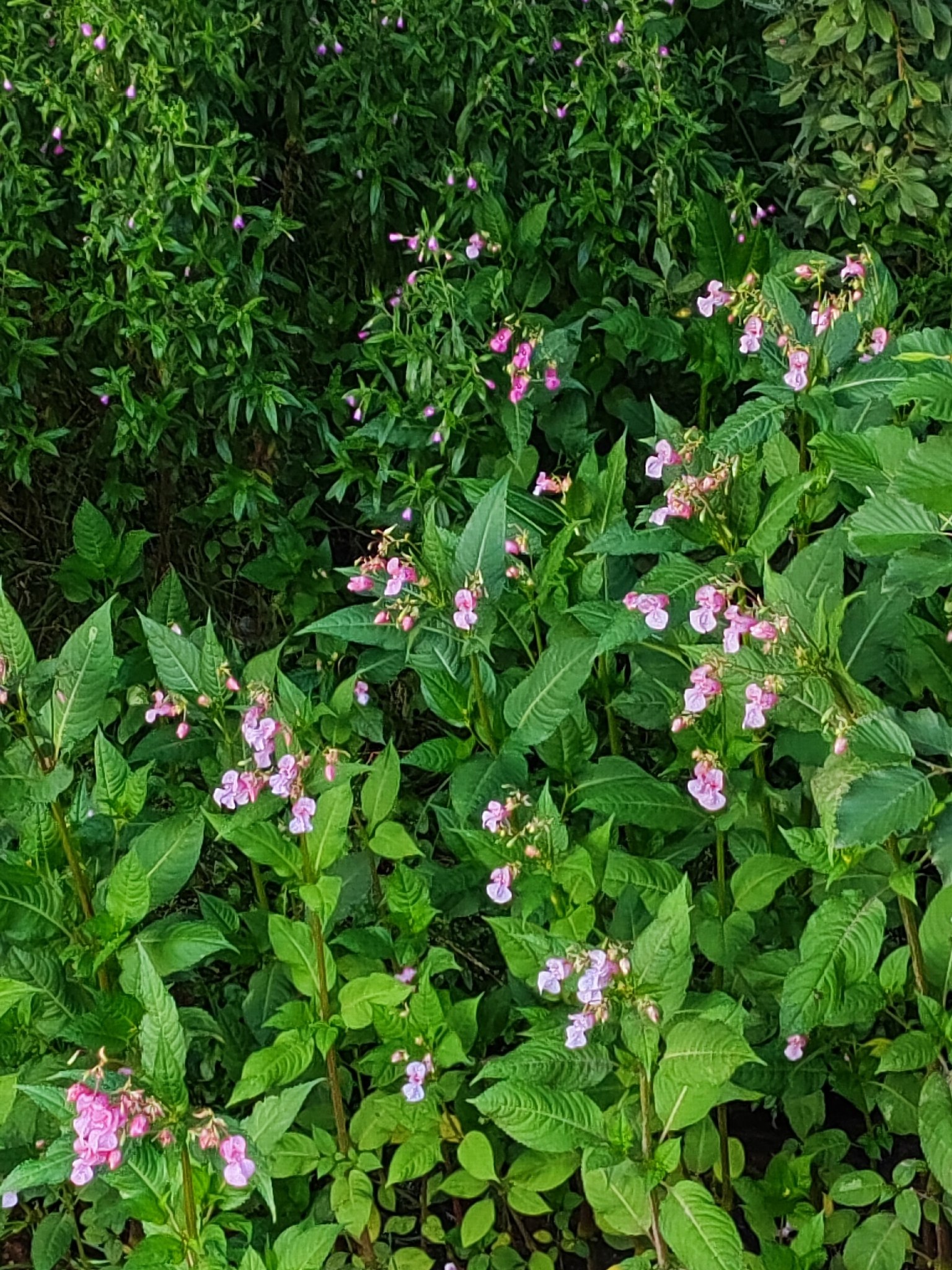   - 28  2025  00:24 - 2