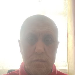 ����, 41 ���, ������