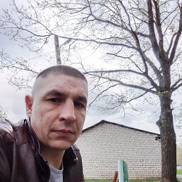  , 44 , 