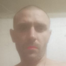 ����, �������, 38 ���