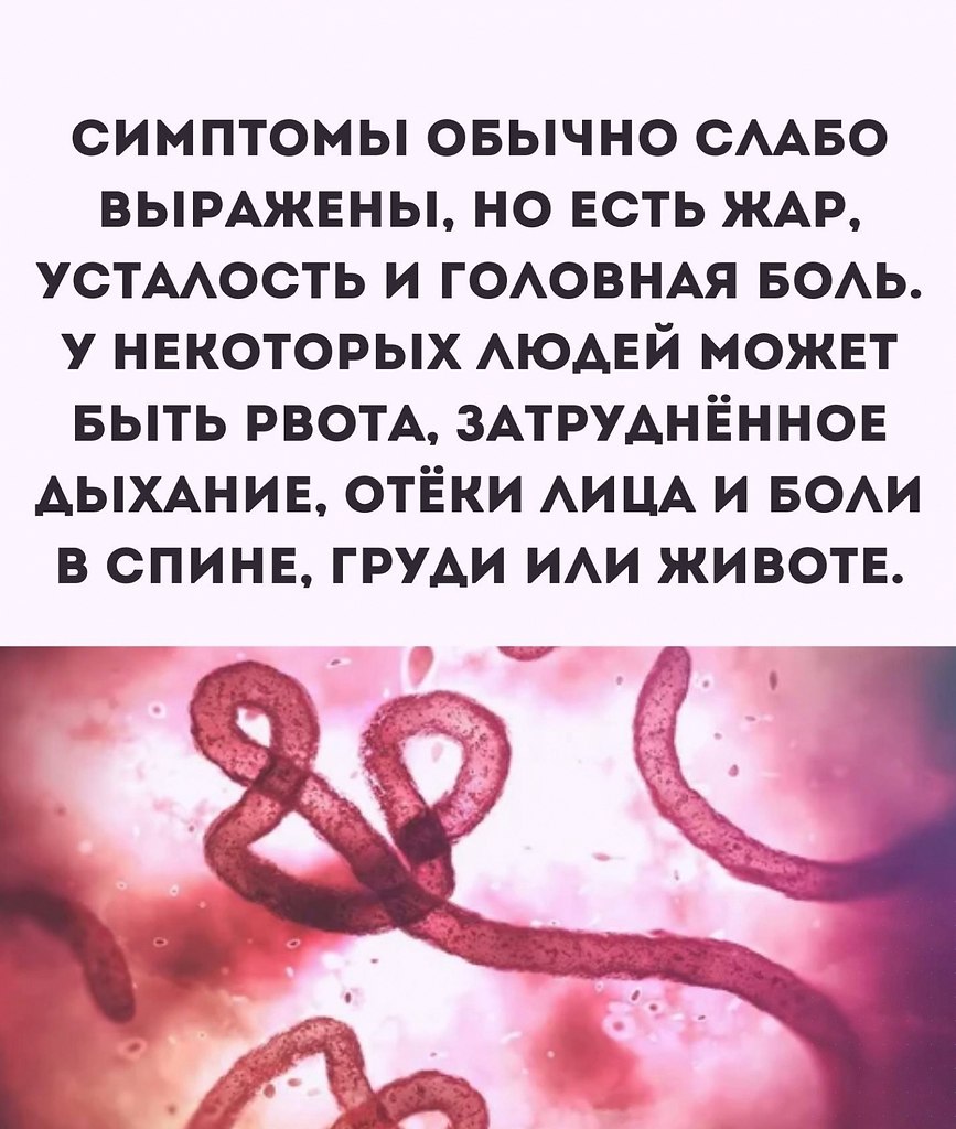  - 8  2024  20:47 - 3