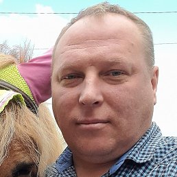 �������, ���������, 44 ����