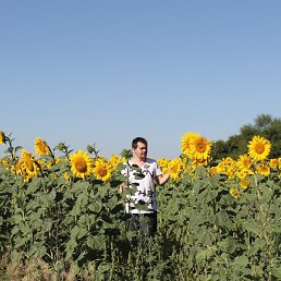 ���� ������, ���������, 37 ��� - ��������� 25 ������� 2023