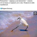 ���� ����� �������������, ��������, 62 ���� - ��������� 9 ������ 2023 � ������ ���� ����������