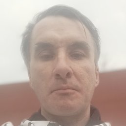 ������� 41, ���������, 43 ����