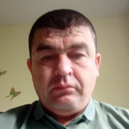 ����, ������ ��������, 40 ���