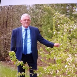 �������� ���������, 62 ����, �������