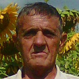 ������, ������, 67 ���