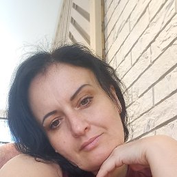 ���� ��������, ����, 41 ��� - ��������� 21 ������ 2024