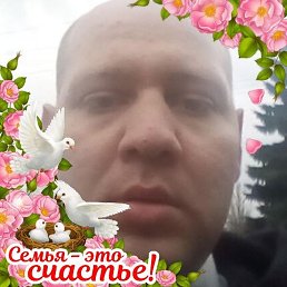 ���������, ������������, 39 ���