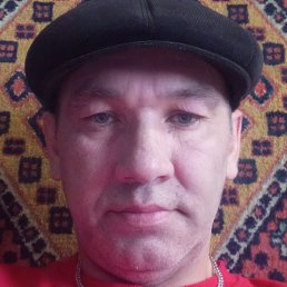 ������, �������, 46 ���