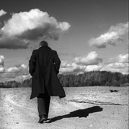 �������, �����������, 43 ����