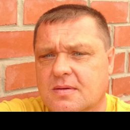 ������, ������, 46 ���