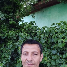 , 37, 