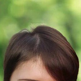 ���������, 41 ���, �������