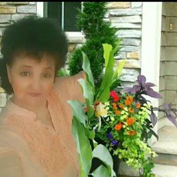 ���� ����� ����������, �������, 23 ���� - ��������� 26 ����� 2025