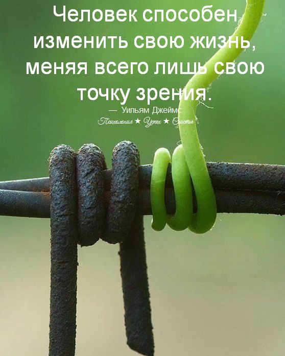 �������� ������ - 7 ���� 2026 � 18:51