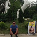 ���� Elbrus, �������, 39 ��� - ��������� 12 ��� 2026 � ������ ���� ����������