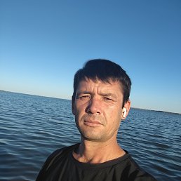 , 34, 