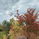  , , 35  -  6  2023    