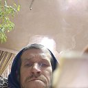 ���� �����, ������, 40 ��� - ��������� 5 ������� 2026 � ������ ���� ����������