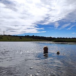 ����, ��������, 66 ���