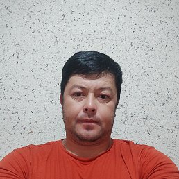 Bobur, 33, 