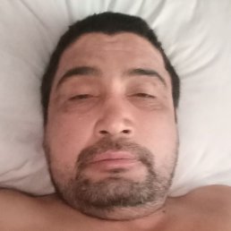 �����, ������, 49 ���