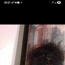 ���� �����, �����������, 59 ��� - ��������� 2 ������� 2025 � ������ ���� ����������