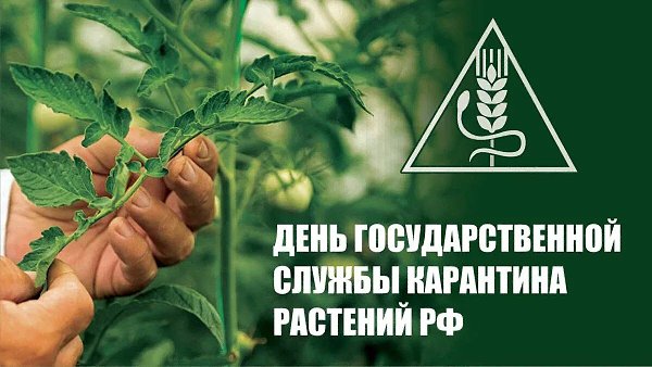 �������: ���������, �������, ������, ��������, �����, �������, ��������, ������, �������, �������, ... - 4