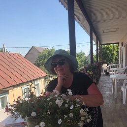 , 53, 