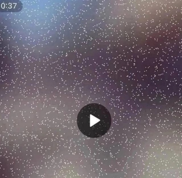 От подписчика: Молoдая пара на лавочке на прocпекте Ленинa Вы вooбще страх потeряли ? Видeo удалено ...