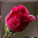 ���� �����, ������, 58 ��� - ��������� 20 ���� 2025 � ������ ���� ����������