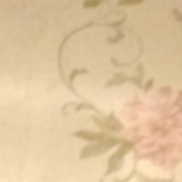 Bek, ������, 42 ����