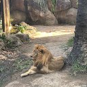 ���� ����, ������, 45 ��� - ��������� 20 ������ 2023 � ������ ���� ����������