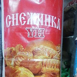 ���������, ���������, 37 ���