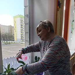 ���� �������, ������, 51 ��� - ��������� 8 ���� 2026
