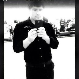 ����, �����-���������, 37 ���