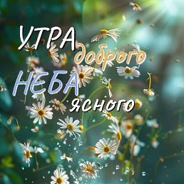 �����, ���������, 62 ����